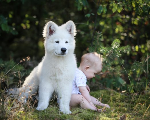 HAKON of White Valhalla Wolves