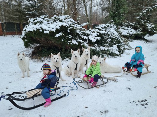 Winter family sledding fun