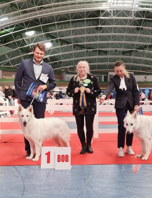 Torvi Best of Breed in Piaseczno