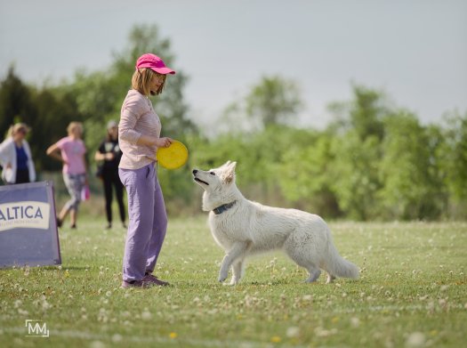 Torvi na Dog Games (Dogfrisbee)
