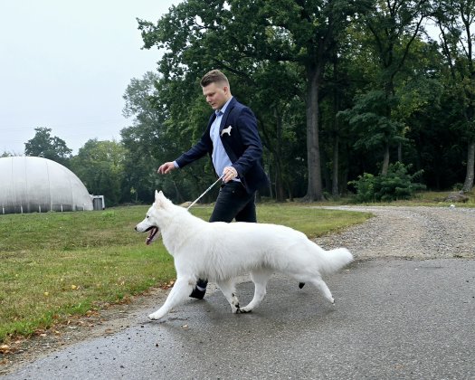 Courageous Björn Best of Breed (BOB)