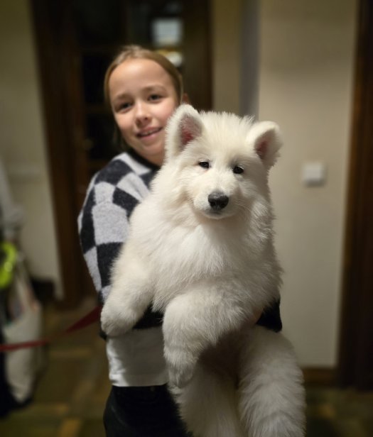 Farewell photos of litter 