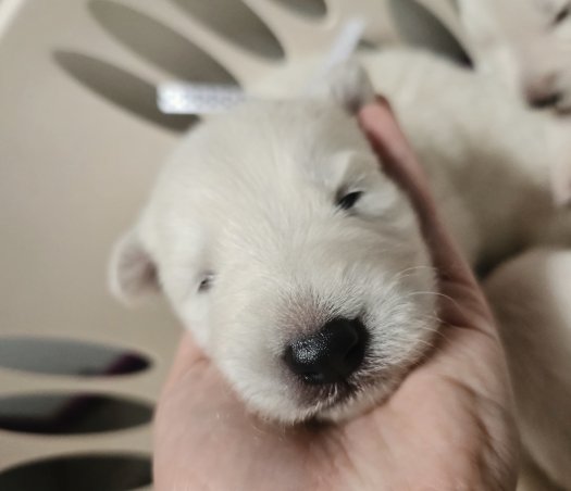 We are opening our eyes