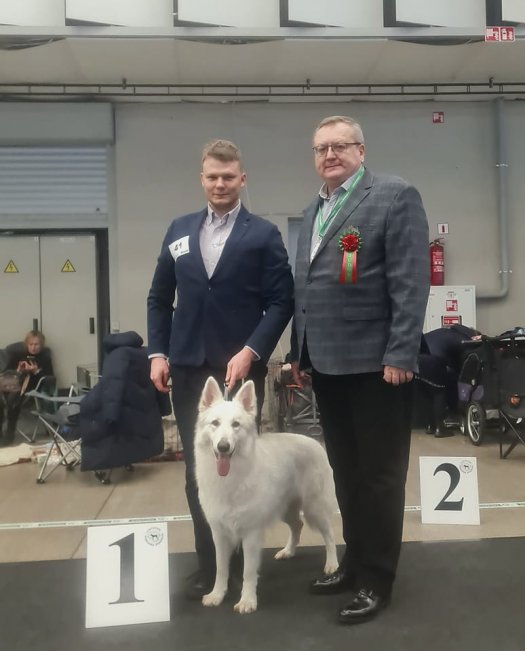 International Dog Show in Vilnius