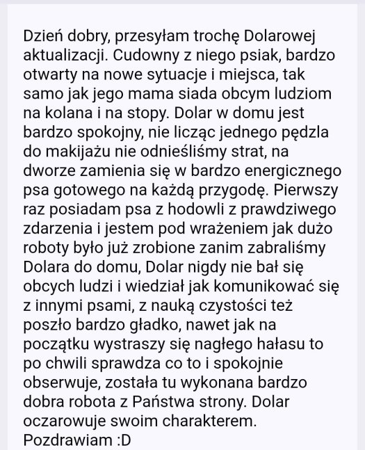 Nie wystawy, nie puchary...