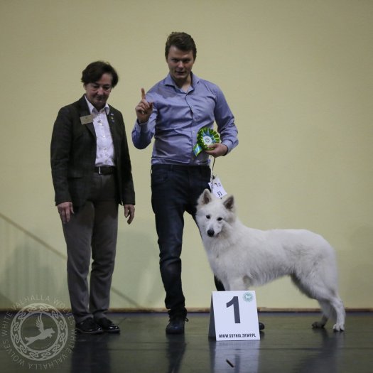 Sigrun on 2 Dog Shows in Elbląg