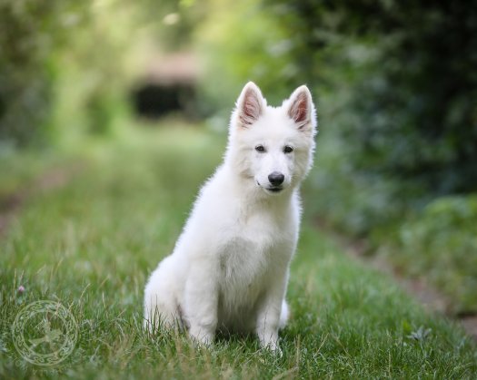 Courageous Björn 3,5 months old