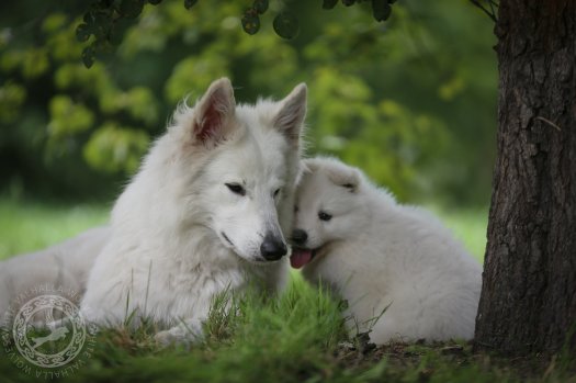 Mother and son