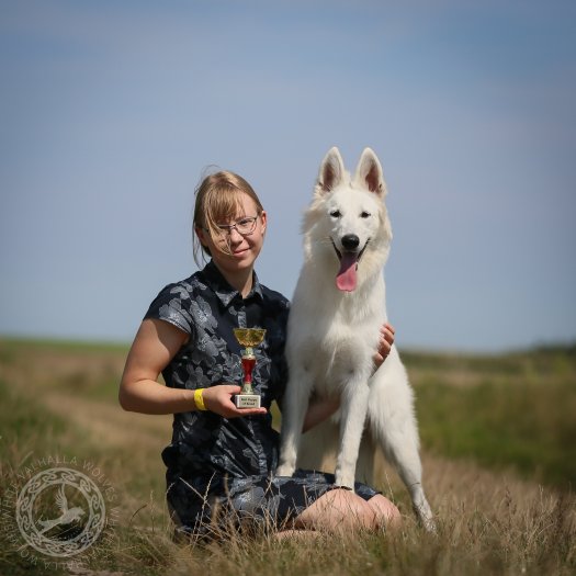 National Dogshow in Radom