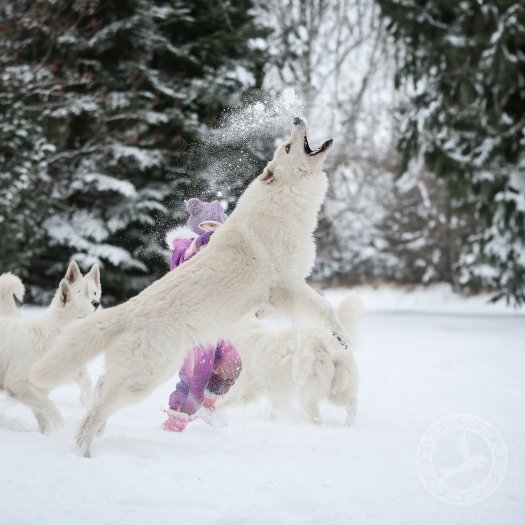 Fenris w pozie z logo