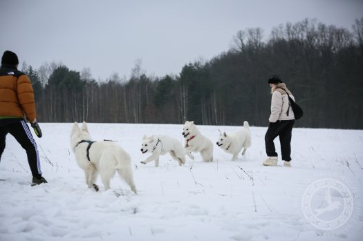 Ostatni wspólny spacer
