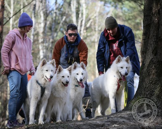 March family walk