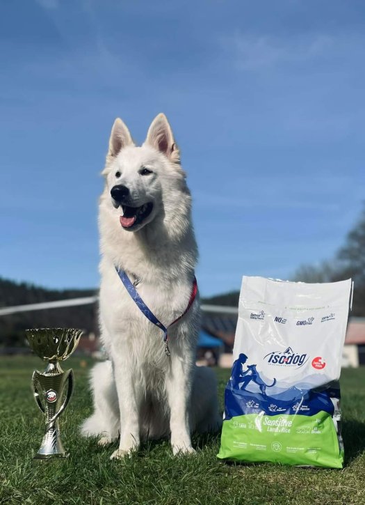 Cayenne's first dog show