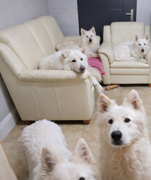 Nasza biała codzienność w domu