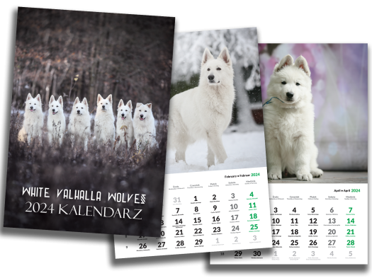 White Valhalla Wolves Calendar 5th edition