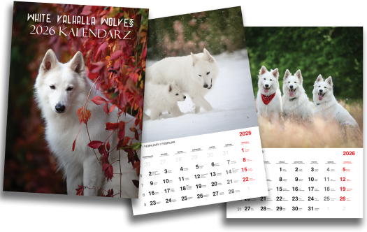 7th edition of our calendars