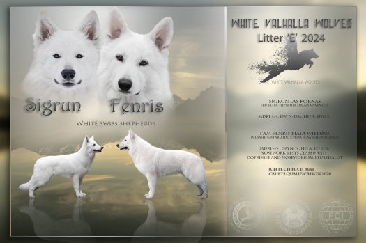 We are planning a spring litter after Sigi and Fenris